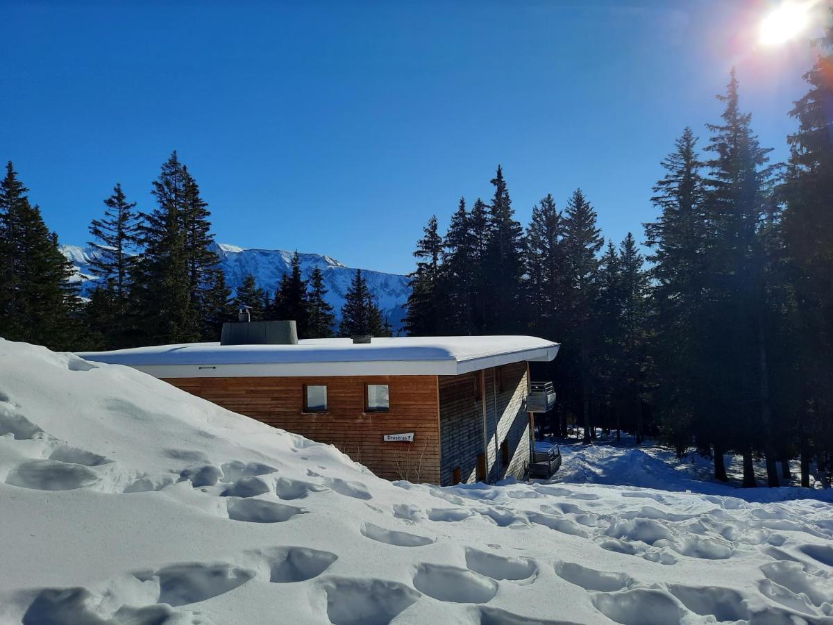 La Petite Foret Chamrousse 1700 Zewnętrze zdjęcie