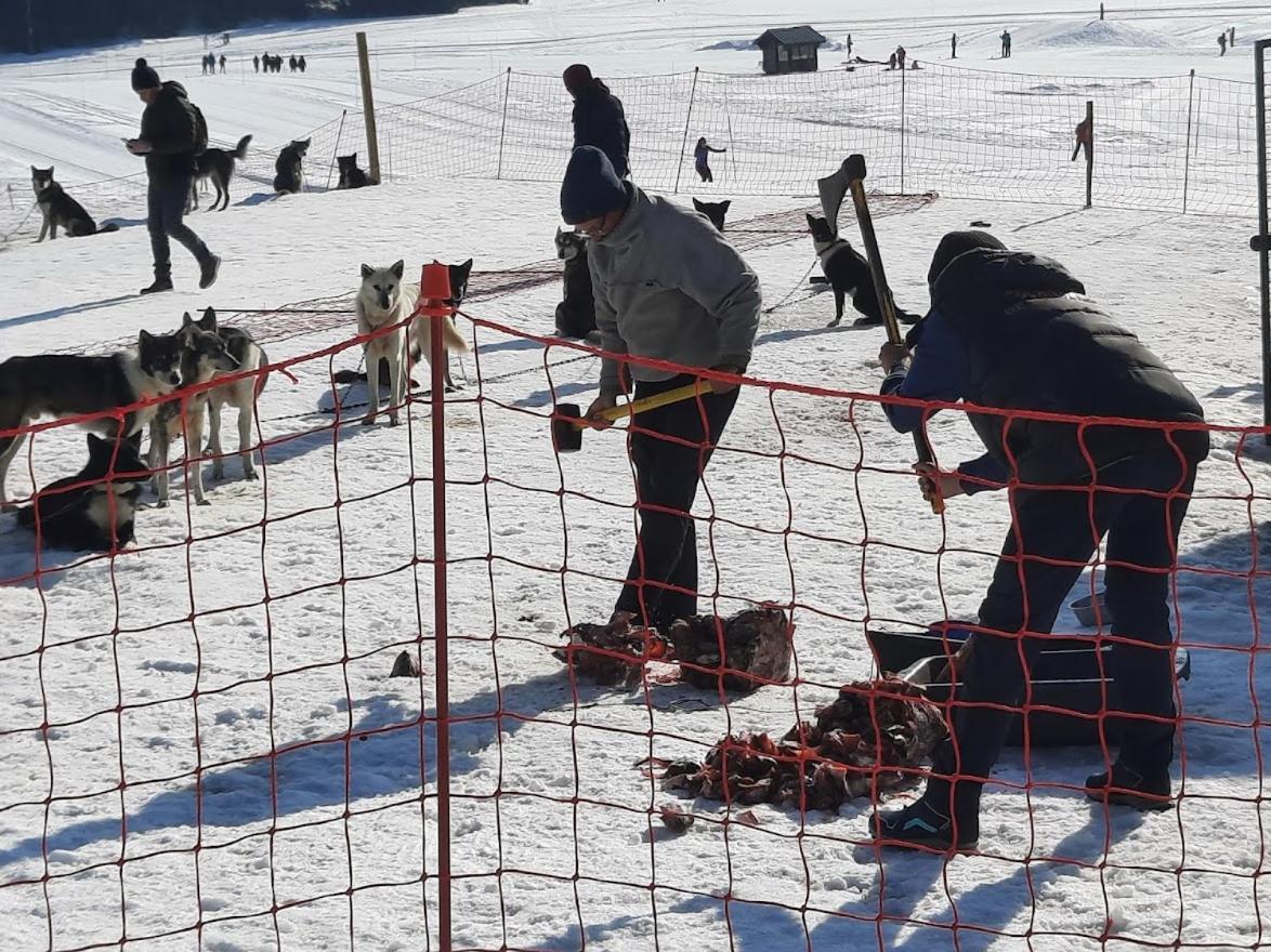 La Petite Foret Chamrousse 1700 Zewnętrze zdjęcie
