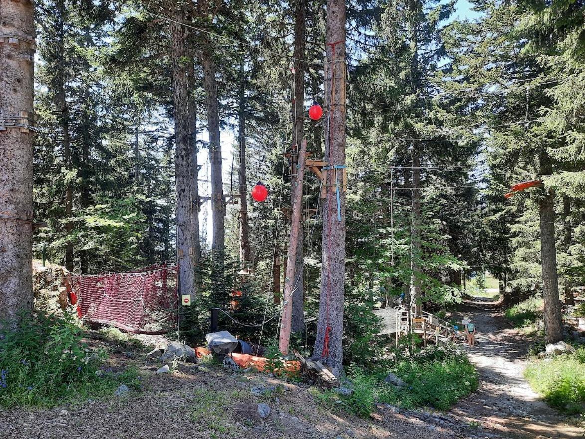 La Petite Foret Chamrousse 1700 Zewnętrze zdjęcie