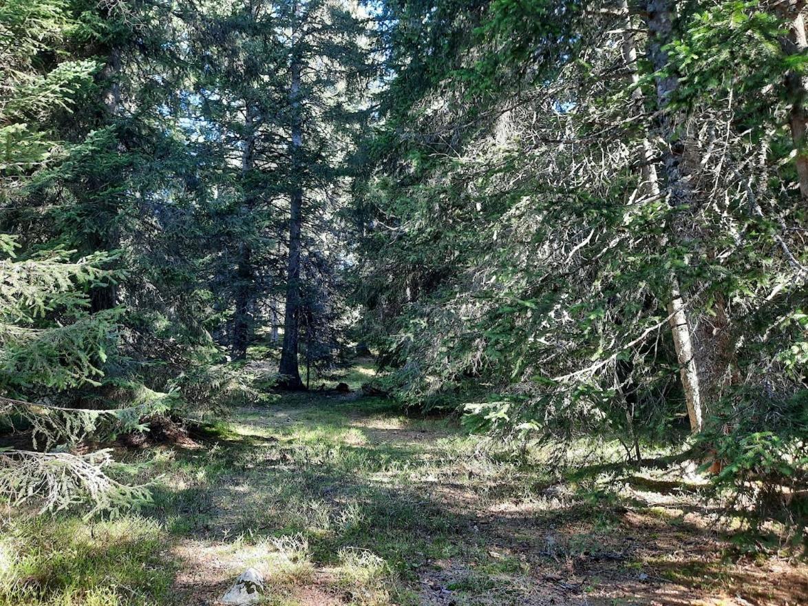 La Petite Foret Chamrousse 1700 Zewnętrze zdjęcie