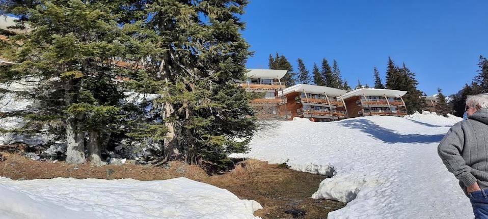 La Petite Foret Chamrousse 1700 Zewnętrze zdjęcie