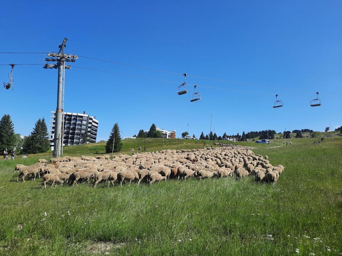 La Petite Foret Chamrousse 1700 Zewnętrze zdjęcie