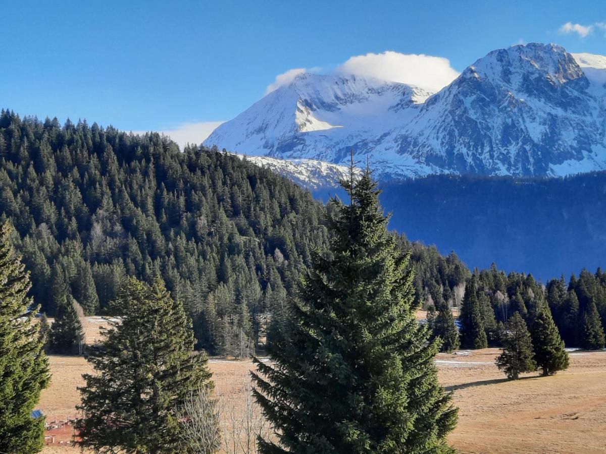 La Petite Foret Chamrousse 1700 Zewnętrze zdjęcie