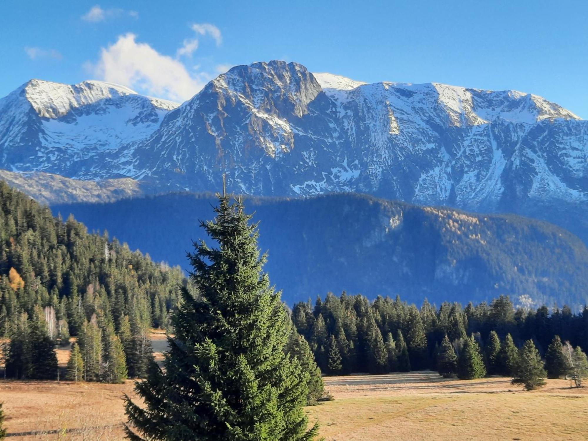 La Petite Foret Chamrousse 1700 Zewnętrze zdjęcie