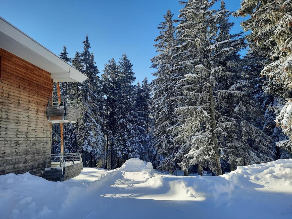 La Petite Foret Chamrousse 1700 Zewnętrze zdjęcie